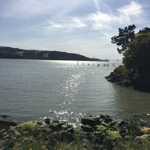 Meet your Posher, Mary